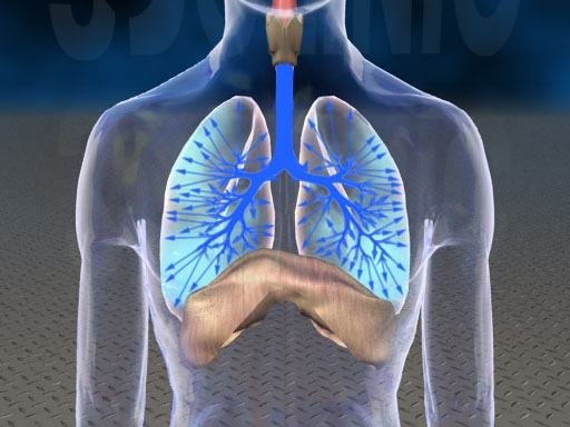 用艾艾贴如何调理呼吸系统？